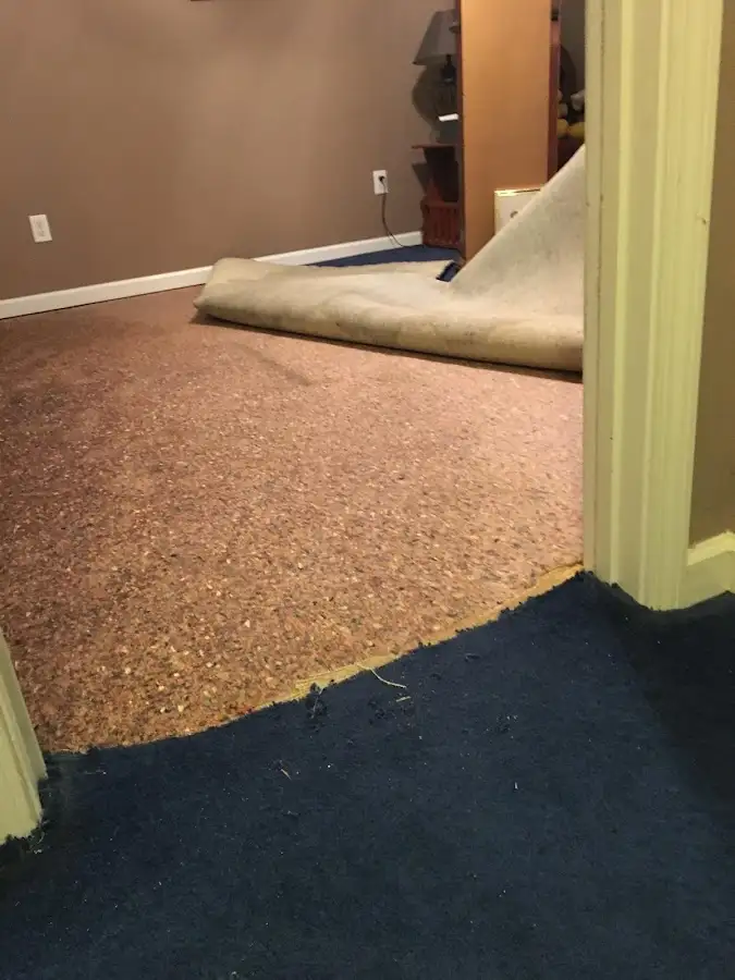 Carpet pad removal revealing water damage during Water Mitigation Services in Astoria