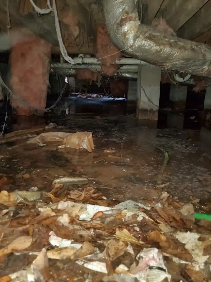 Crawl space flood assessment for Leak Detection & Repair in Astoria